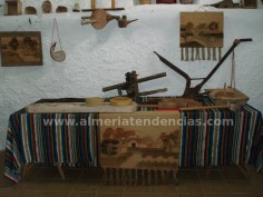 Objetos antiguos en Bodega Cortijo El Cura